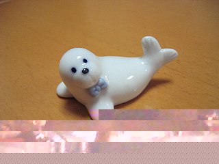 かわいいでしょ?