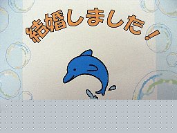 水族館のパンフレットみたい